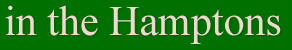 Hampton Summer Vacation Home Rental